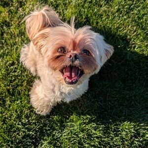 Meet your Posher, Marisa.